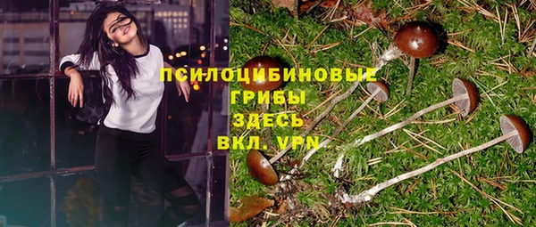 каннабис Алзамай