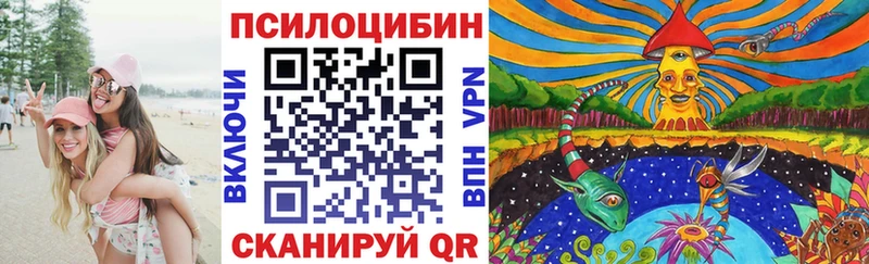 Псилоцибиновые грибы Cubensis  Волгоград 