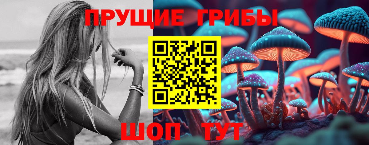 Псилоцибиновые грибы мицелий Волгоград