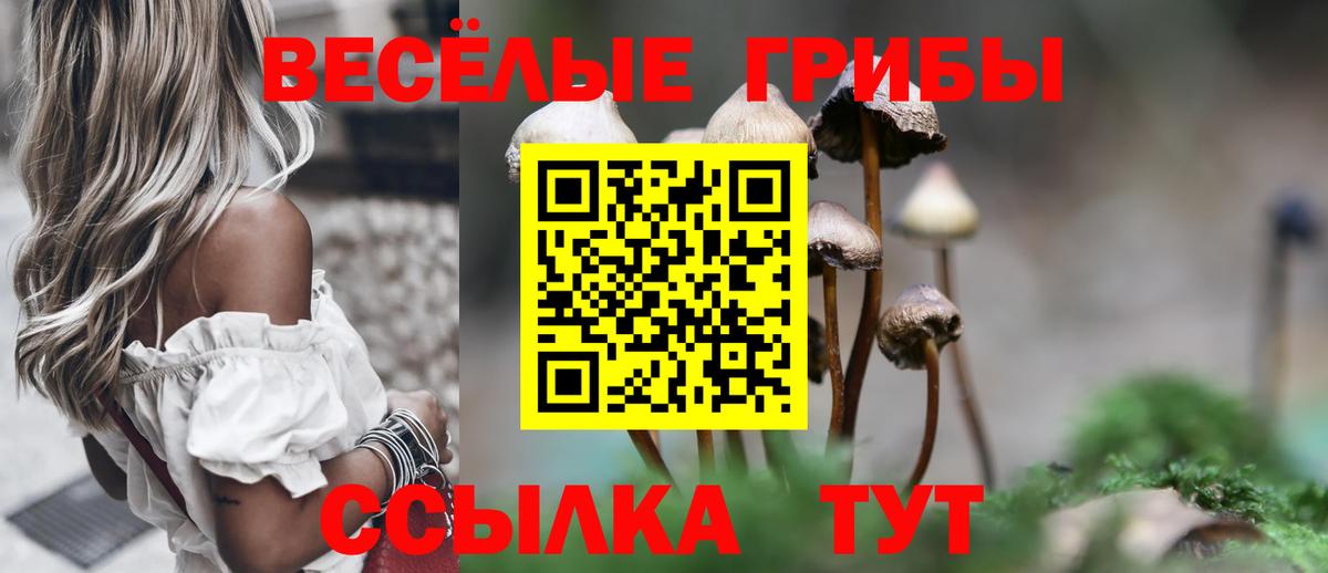Волгоград  Псилоцибиновые грибы ЛСД  Вход с VPN  Псилоцибиновые грибы Psilocybine cubensis 